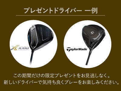 プレゼントドライバー 一例